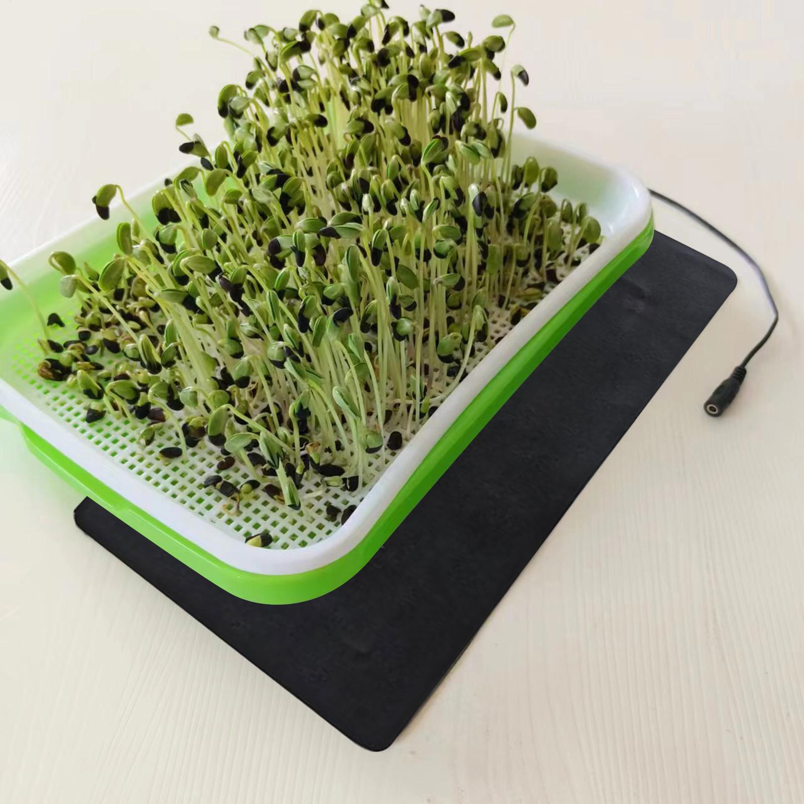 Tapete de aquecimento para mud - Seedling Heat Mat avaliação e preço
